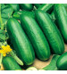 Cucumber / Kakri IVCUH-301 50 grams
